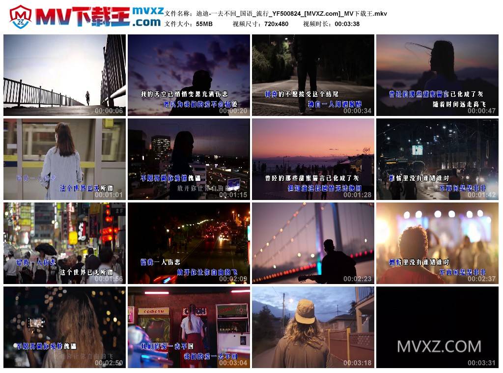 迪迪-一去不回_国语_流行_YF500824